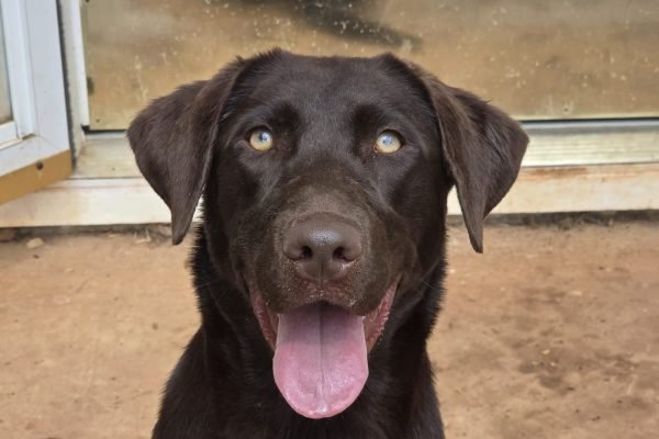 WhatsApp Image 2025-05-08 at 12.13.35 AM