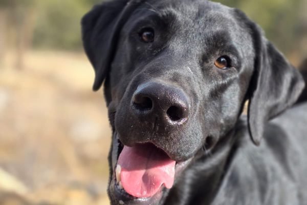 WhatsApp Image 2026-03-01 at 6.35.16 AM