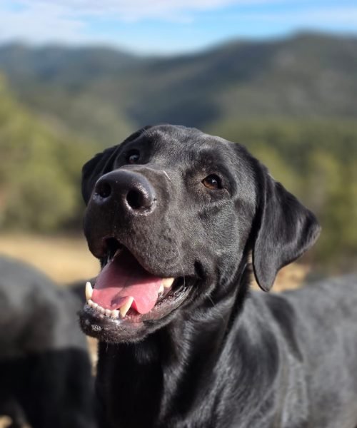 WhatsApp Image 2026-03-01 at 6.35.16 AM(1)