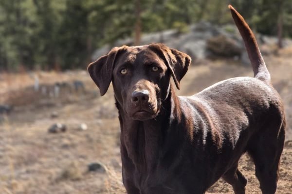 WhatsApp Image 2026-03-01 at 6.35.17 AM