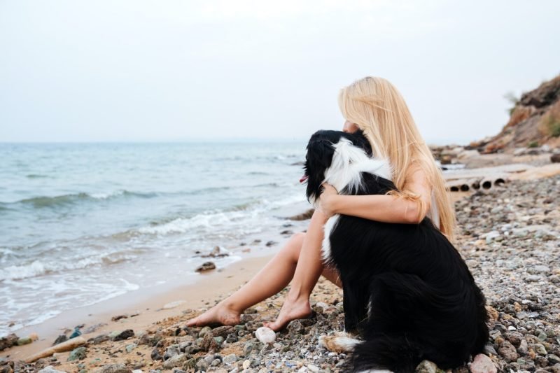 woman-sitting-and-hugging-a-dog-on-the-beach.jpg